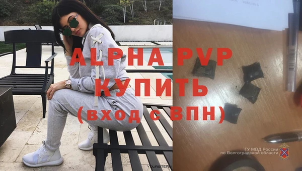 винт Верея