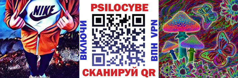 Купить Новый Оскол Псилоцибиновые грибы GOLDEN TEACHER